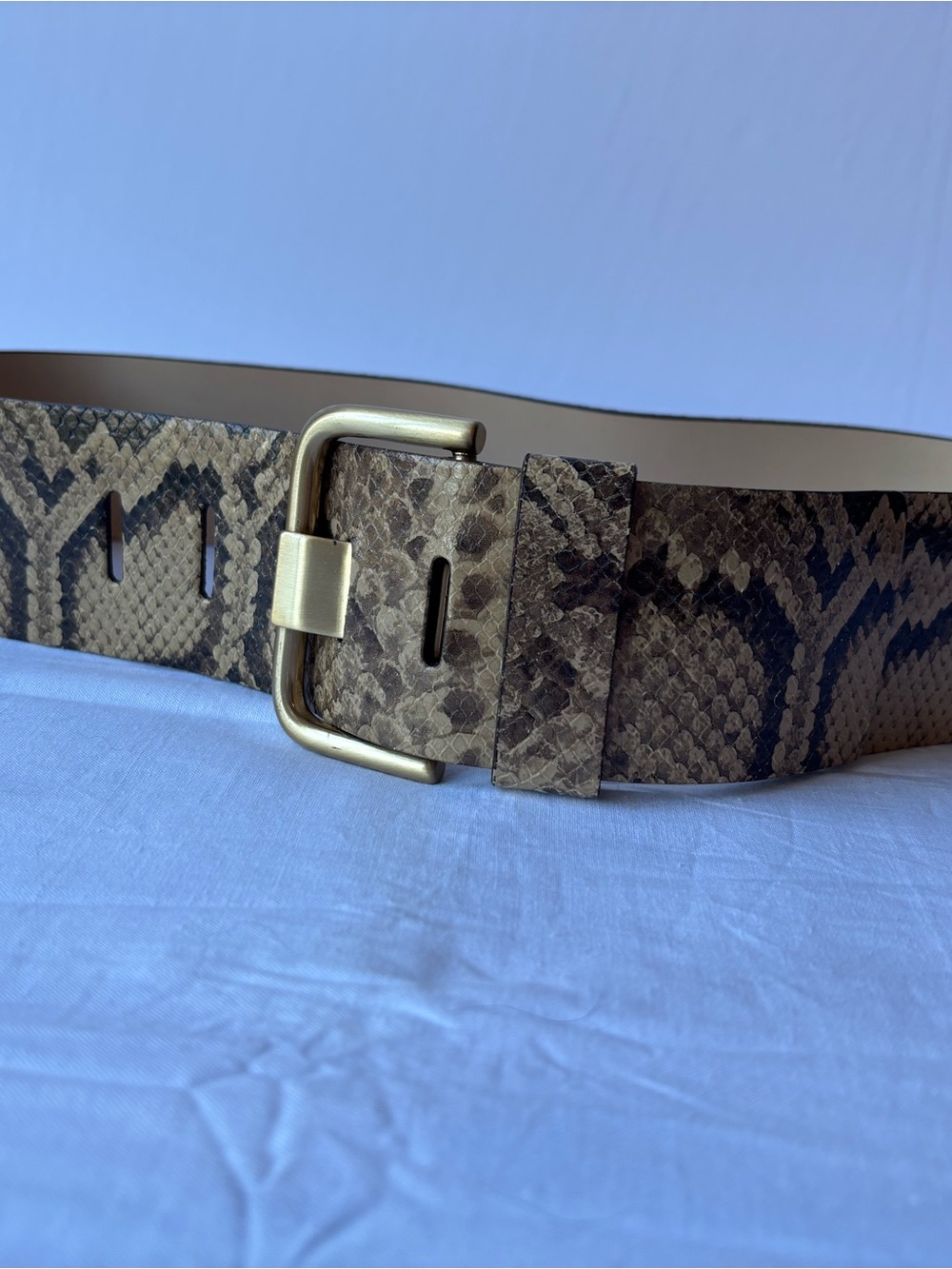 Banana Republic Snake-Print Wide Leather Belt in Brown